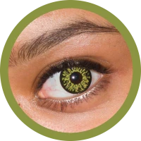 Illusion Verde